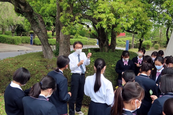 共立女子第二「散歩(自然観察)」