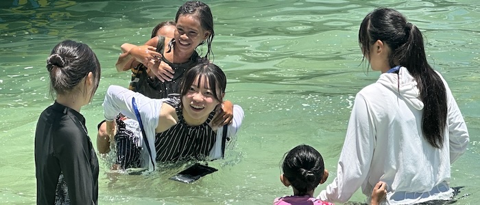 明星中学校・高等学校