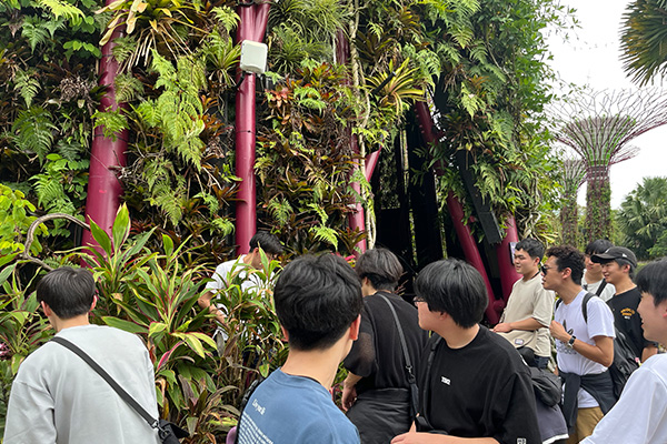 ガーデンズ・バイ・ザ・ベイ