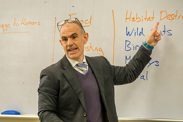 デムステッダー先生